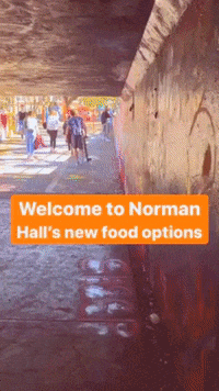 Uf Ufcoe GIF by University of Florida College of Education