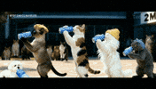 틴더스 GIF