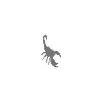Scorpsproduction love happy fun scorpion Sticker