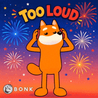 Crypto Usa GIF by BONK