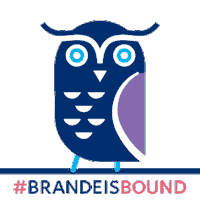 2027 Sticker by Brandeis University