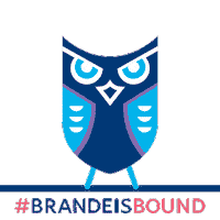 2027 Sticker by Brandeis University