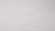Andrew Yang Lol GIF by ALL SEEING EYES