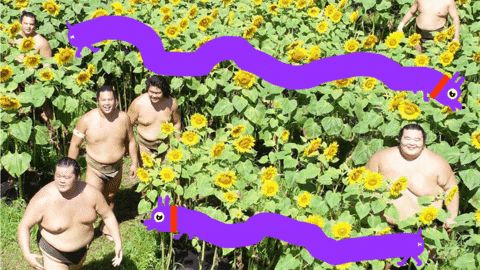 GIF by hamlet