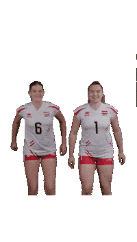Nationalteam Sticker by win2day Beach Volleyball Tour PRO