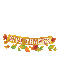 Disney Channel Celebration Sticker by Dino Ranch