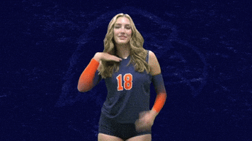 Cnvb GIF by Carson-Newman Athletics