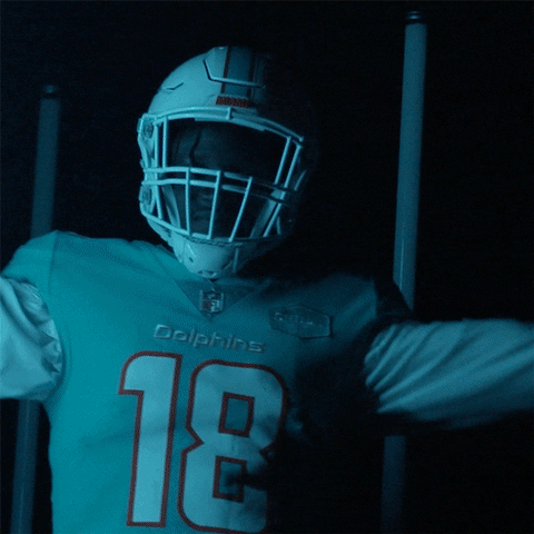 Lets Get It Football GIF by Miami Dolphins