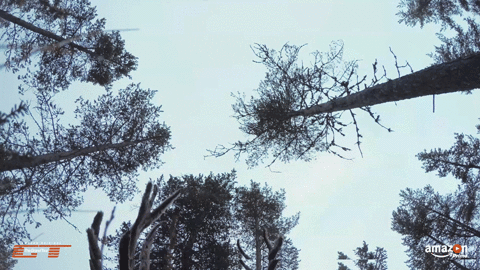 prime video GIF by The Grand Tour