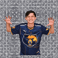 Super Smash Bros Esports Sticker by WVU Tech Golden Bears