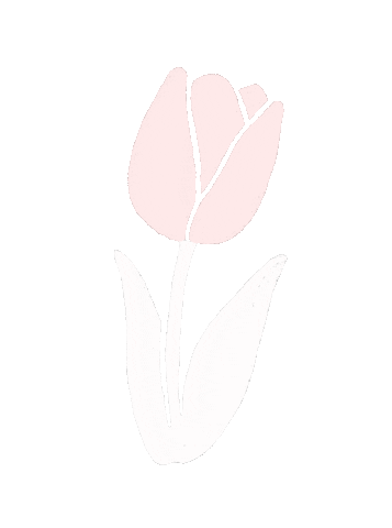 Tulip Sticker