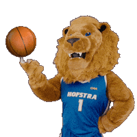 New York Basketball Sticker by Hofstra University