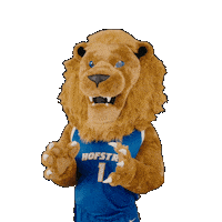 New York Basketball Sticker by Hofstra University