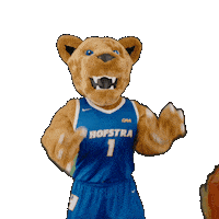 New York Basketball Sticker by Hofstra University