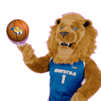 New York Basketball Sticker by Hofstra University