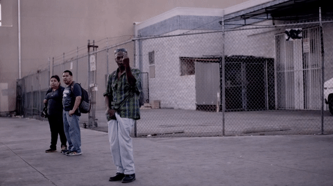 xambassadors giphyupload jungle x ambassadors GIF