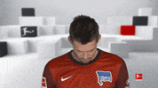 Line Up Smile GIF by Bundesliga