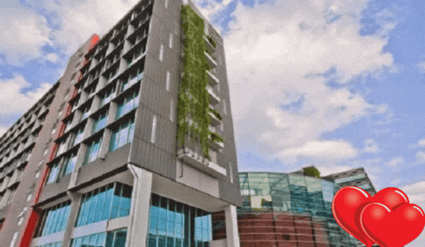 birlaevarahome giphygifmaker giphyattribution GIF