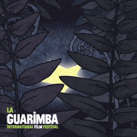 Discover In The Butt GIF by La Guarimba Film Festival