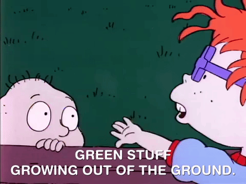 nicksplat rugrats GIF