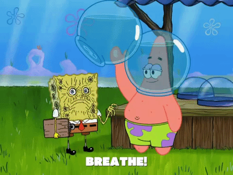 season 8 episode 13 GIF by SpongeBob SquarePants