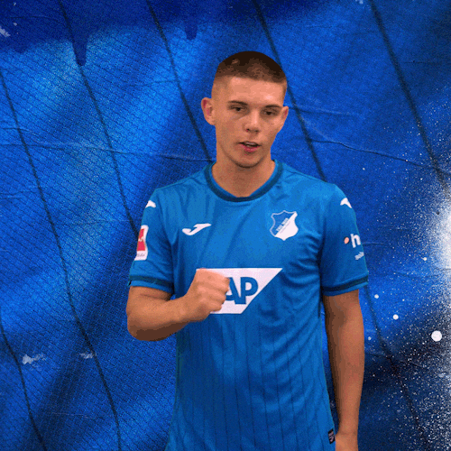 Sport Bundesliga GIF by TSG Hoffenheim