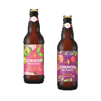 Party Cheers Sticker by Cornish Orchards