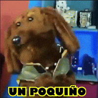 Salchicha GIF by LIBERUM