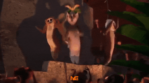GIF 12
