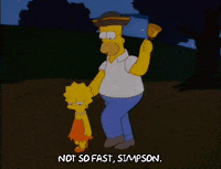 homer simpson GIF