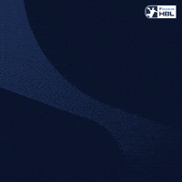 Handball Scm GIF by DAIKIN HBL