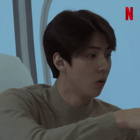 Netflix Bustednetflix GIF by Busted!