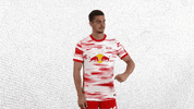 Champions League Football GIF by RB Leipzig
