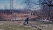 Dog Training GIF by Better Noise Music