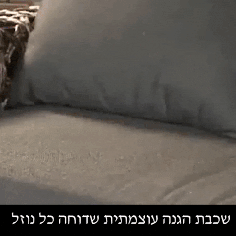 86db0244a62943229b2246956452cf0f giphyupload GIF