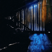 Zoom Looking GIF by Rodriw Castel