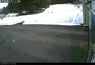 Fail Postal Workers GIF