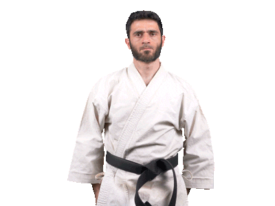 Martial Arts Thank You Sticker by RunbenGuo