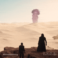 Desert Spice GIF by Funcom