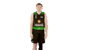 Celebrating Liga Endesa Sticker by ACB