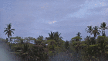 Costa Rica Pacific Oean GIF by Chris