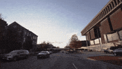 Ilstu Isu Redbirds GIF by Illinois State University
