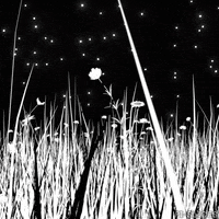 Black And White 3D GIF by Pi-Slices