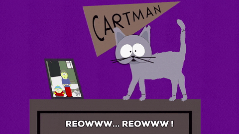 cat picture GIF by South Park 