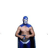 maskadorestacoshopaz wrestling wrestler lucha lucha libre Sticker