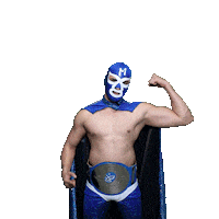 maskadorestacoshopaz wrestling wrestler lucha lucha libre Sticker