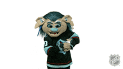 Ice Hockey Sport GIF by NHL