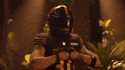Hamilton Tiger-Cats Cfl GIF by Hamilton Sports Group