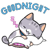 Good Night Sleeping Sticker by Mino Games