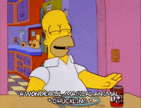 homer simpson GIF